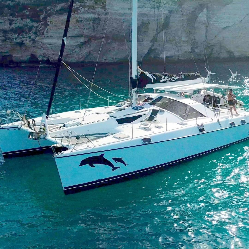 privilege 48 catamaran